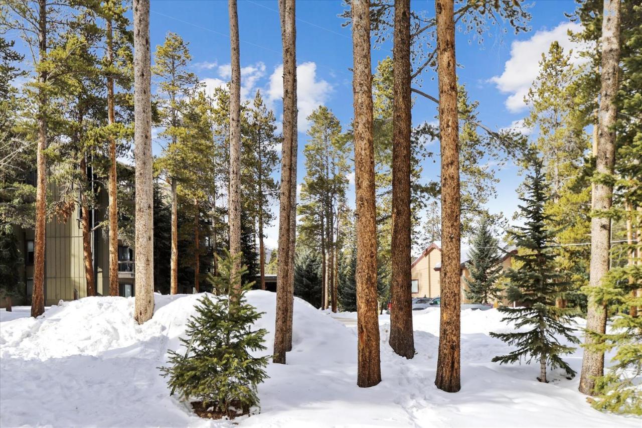 Park Forest Estates Breckenridge Eksteriør bilde
